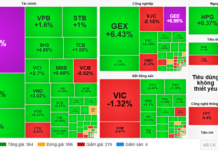 Market Pulse 26/11: Foreign Investors Return to Strong Net Buying in Financial Sector, VN-Index Rebounds by 20 Points