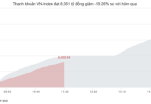 Market Pulse 28/11: Continued Divergence as Vingroup Stocks Bolster VN-Index by Over 14 Points