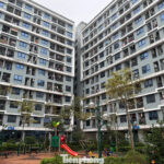 Cracking Down on Social Housing Exploitation: What Penalties Are Needed to Deter Abuse?