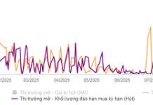 Central Bank Injects Net Liquidity into Open Market