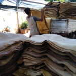 Indonesia Actively Hunts Vietnam’s Tens of Thousands of Tons of ‘White Gold’: With Over 900,000 Hectares Cultivated, Vietnam Ranks Among the World’s Top 5 Producers