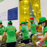 Vietnamese Fruits and Vegetables: Surging to a Record $7 Billion, Climbing the Ranks to Conquer U.S. and EU Markets