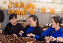 Empowering Vietnamese Women to Achieve the Extraordinary: A Fresh Start as Their Foundation