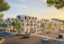 Effective Cash Flow Strategies at Vlasta – Thuy Nguyen, Hai Phong