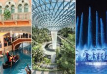 Harmonia Stream: The Breathing Heart of Greenera Southmark