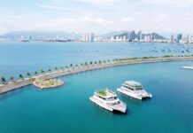 Emerging Migration Trends Among the Elite Community