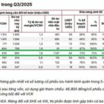 Last-Minute Investor Rush: The Fierce Battle for VPS IPO Slots Intensifies