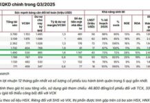 Last-Minute Investor Rush: The Fierce Battle for VPS IPO Slots Intensifies