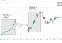 Specialized Funds Take Center Stage, Delivering Benefits to Investors