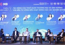 MB Economic Insights 2025: 11 Years of Empowering Import-Export Businesses