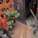 “1987” Author: When Time, Energy, and Money Flow in Harmony – Life Naturally Flourishes