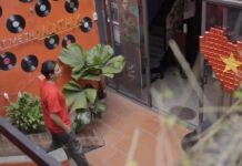 “1987” Author: When Time, Energy, and Money Flow in Harmony – Life Naturally Flourishes