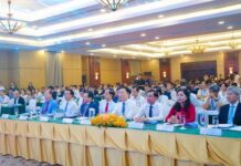 T&T Group and CÃ Mau Province Sign Landmark Cooperation Agreement to Develop Major Projects