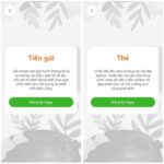 Sacombank Launches Green Finance Package: Realizing ESG Sustainability Commitments