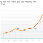 Unraveling Vingroup’s Massive $3.5 Billion Cash Reserve: Where Did the Money Come From?