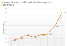 Unraveling Vingroup’s Massive $3.5 Billion Cash Reserve: Where Did the Money Come From?