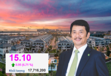 What’s Happening with Novaland?