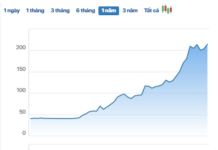 Vingroup: Special Shareholder Group Emerges, Holding 58% of Capital