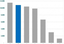 Unlocking the $460 Million Secret: How Billionaire Trần Đình Long Doubles Profits in Pig, Cattle, and Poultry Farming
