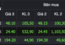 Nearly Half of HOSE’s Purple Hue Stems from This Stock Group: 3 Trillion VND Exchanged in a Single Session