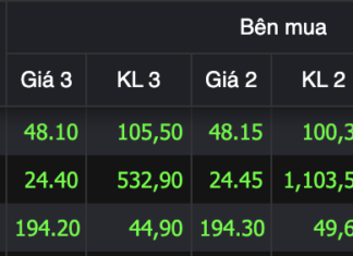 Nearly Half of HOSE’s Purple Hue Stems from This Stock Group: 3 Trillion VND Exchanged in a Single Session