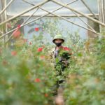 “As 20-11 Approaches, Many Flower Garden Owners Express Growing Concerns”