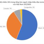 China Halts Imports, Prompting U.S. to Flood Vietnam with Ultra-Cheap Product—Vietnam Emerges as World’s Third-Largest Consumer