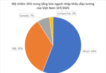 China Halts Imports, Prompting U.S. to Flood Vietnam with Ultra-Cheap Product—Vietnam Emerges as World’s Third-Largest Consumer