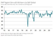 October 2025 PMI: Surge in Output and New Orders Accelerates Rapidly