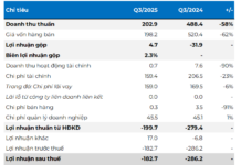 Pomina Reports Over 500 Billion VND Loss in First Nine Months, Negative Equity