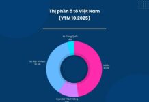 Chinese Cars Flooding Vietnam: How Are They Faring in the Market?