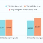 Imported Cars Surge Ahead of Domestically Assembled Vehicles: What’s Driving This Trend?