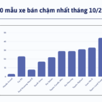 Where Do the Honda Accord and Kia K5 Stand in Vietnam’s D-Segment Sedan Market?