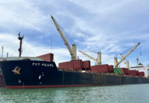 PVT Logistics to Issue Over 13 Million Dividend Shares in 2024