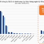 Where Are the Nearly 650 Trillion VND in Securities Investment Trusts Allocated by the Fund Management Industry?