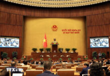 Week 4 of the 10th Session: National Assembly Reviews Critical Agendas