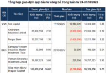 Investment Fund Trading: Buying Momentum Returns