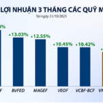 VN-Index Cools Down as Mutual Funds Gear Up for a New Cycle