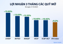 VN-Index Cools Down as Mutual Funds Gear Up for a New Cycle