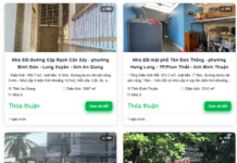Premium Townhouses for Sale by Major Bank in Da Nang, Khanh Hoa, Dong Nai, An Giang, and Thai Binh