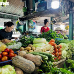 Skyrocketing Vegetable Prices in Ho Chi Minh City