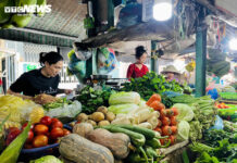Skyrocketing Vegetable Prices in Ho Chi Minh City