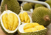 China Spends Nearly $1 Billion on Vietnamese Specialty in Just One Month