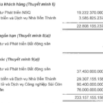 Bùi Cao Nhật Quân’s Debt to Novaland Reaches Nearly Hundred Billion VND