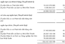 Bùi Cao Nhật Quân’s Debt to Novaland Reaches Nearly Hundred Billion VND