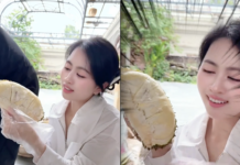 The Fate of Mailisa’s Durian Orchard