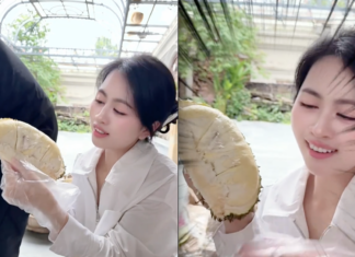 The Fate of Mailisa’s Durian Orchard