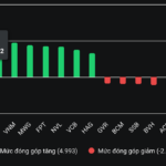 Stocks Linked to Bầu Đức Deliver a Surprising Turn