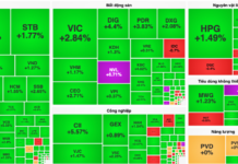 Novaland and Hoang Anh Gia Lai Stocks Grab the Spotlight