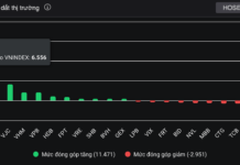 All Eyes on the Airline’s Stock